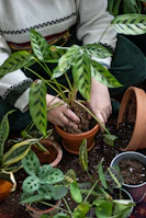 a woman is holding a potted plant in her hands