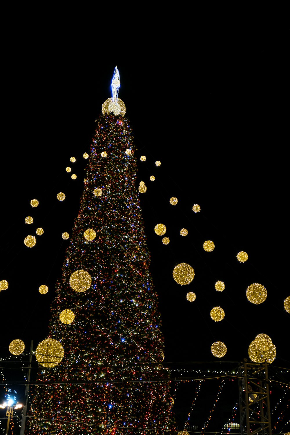 a large christmas tree is lit up at night