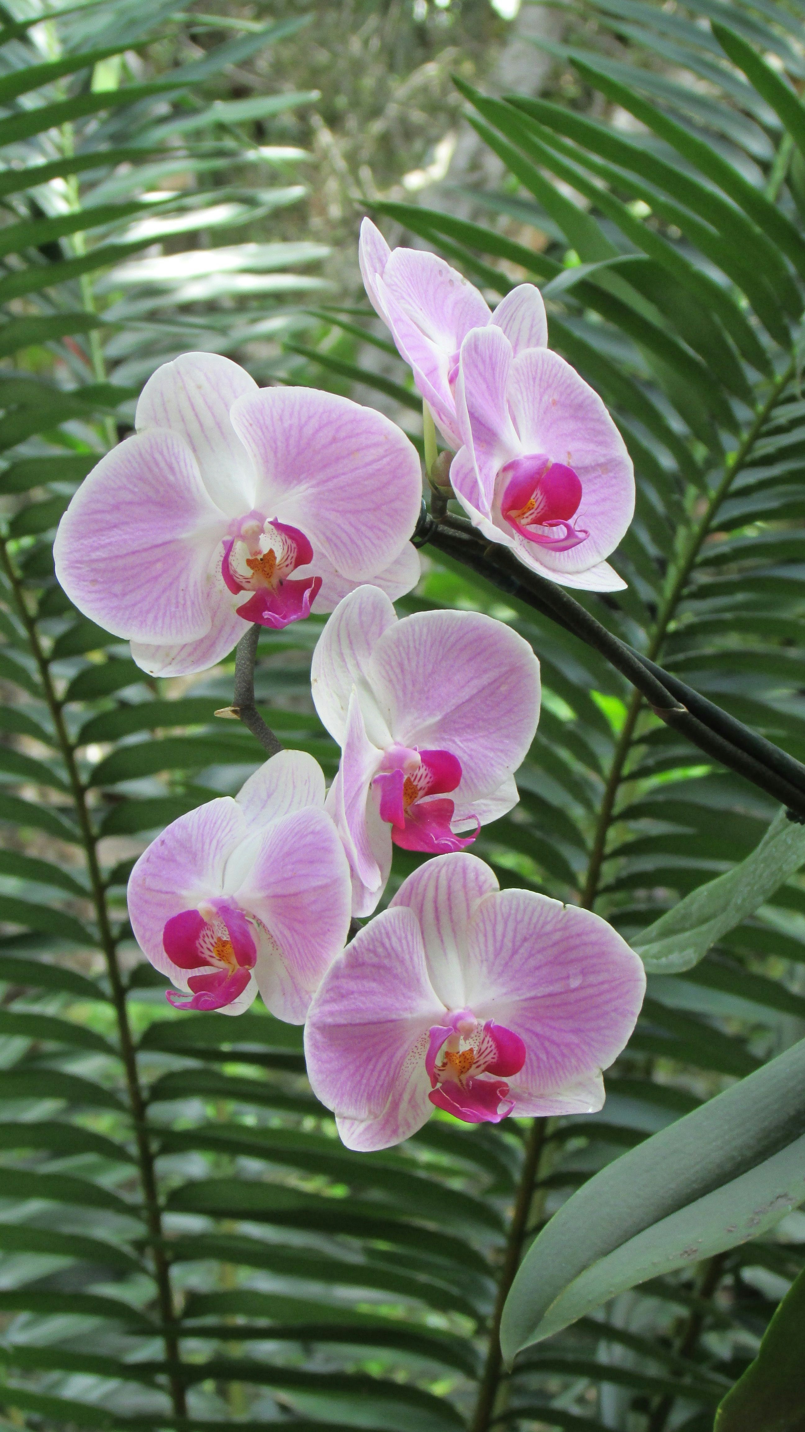 Photo by newmediaart