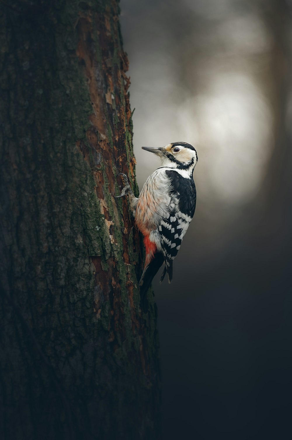 a bird standing on a branch