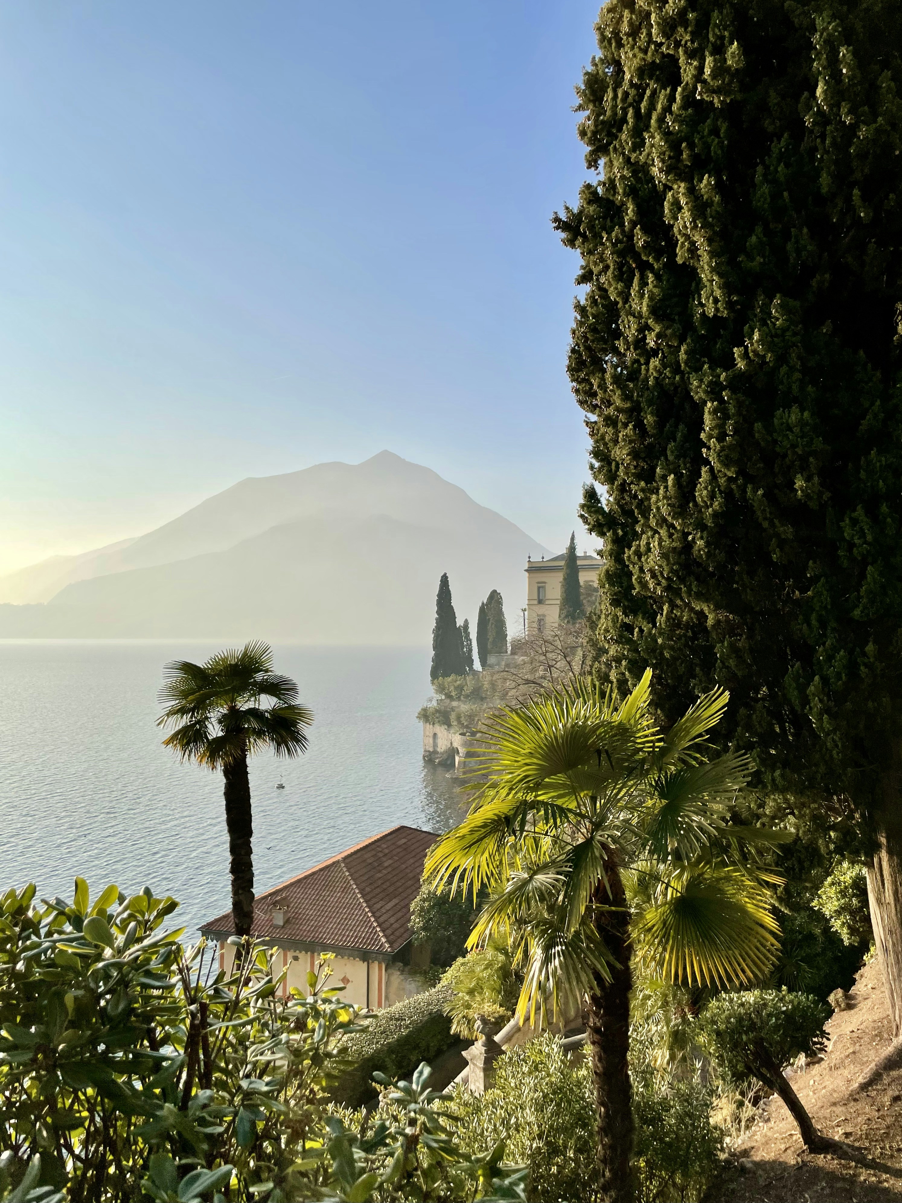 The Grammar Wars: Why Language Rules Crumble in Digital Spaces