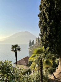 a view of a body of water with a mountain in the background