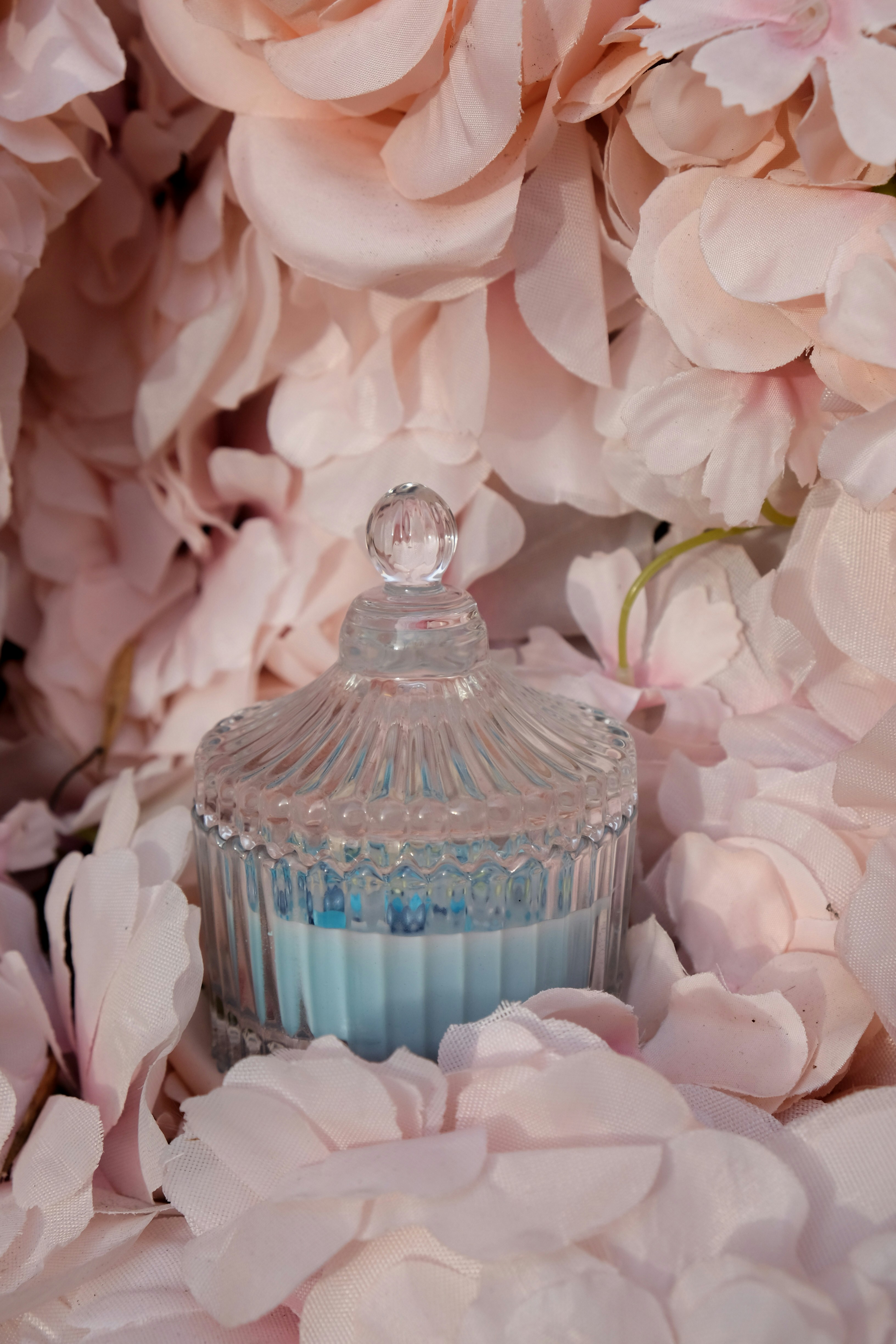 Photo by alinaparache