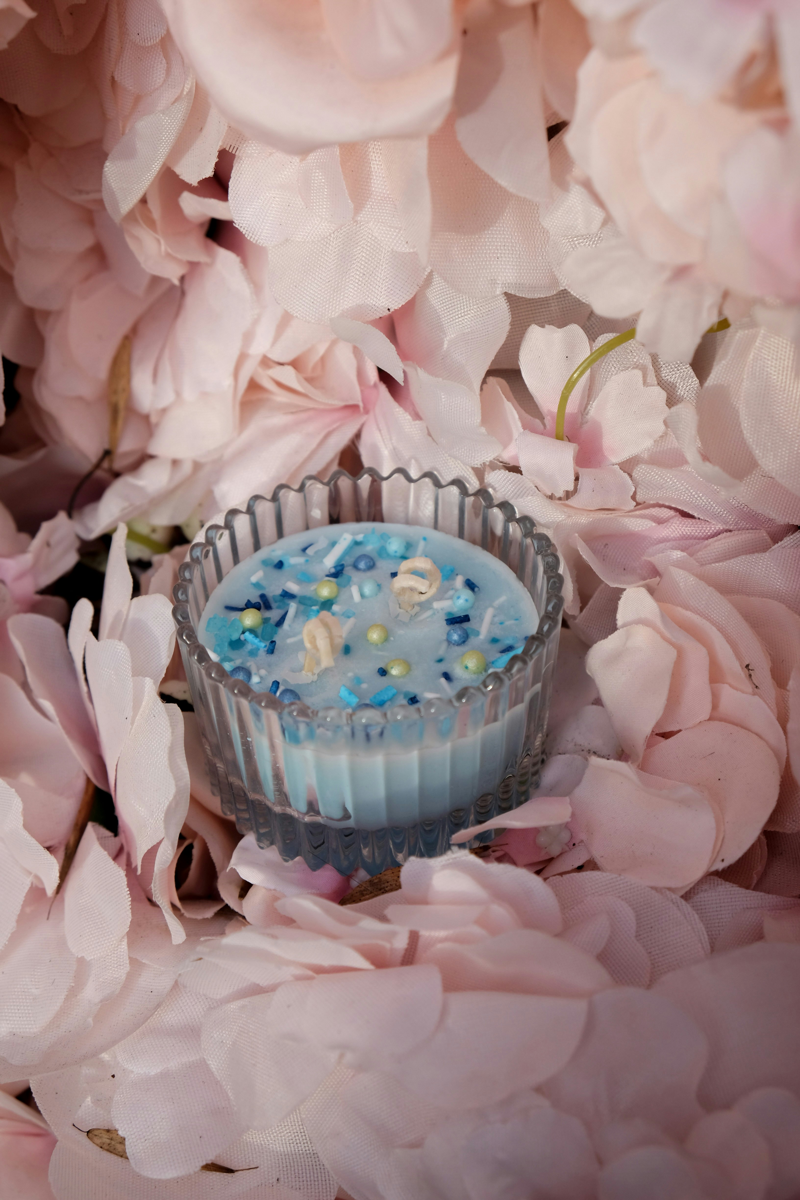 Photo by alinaparache