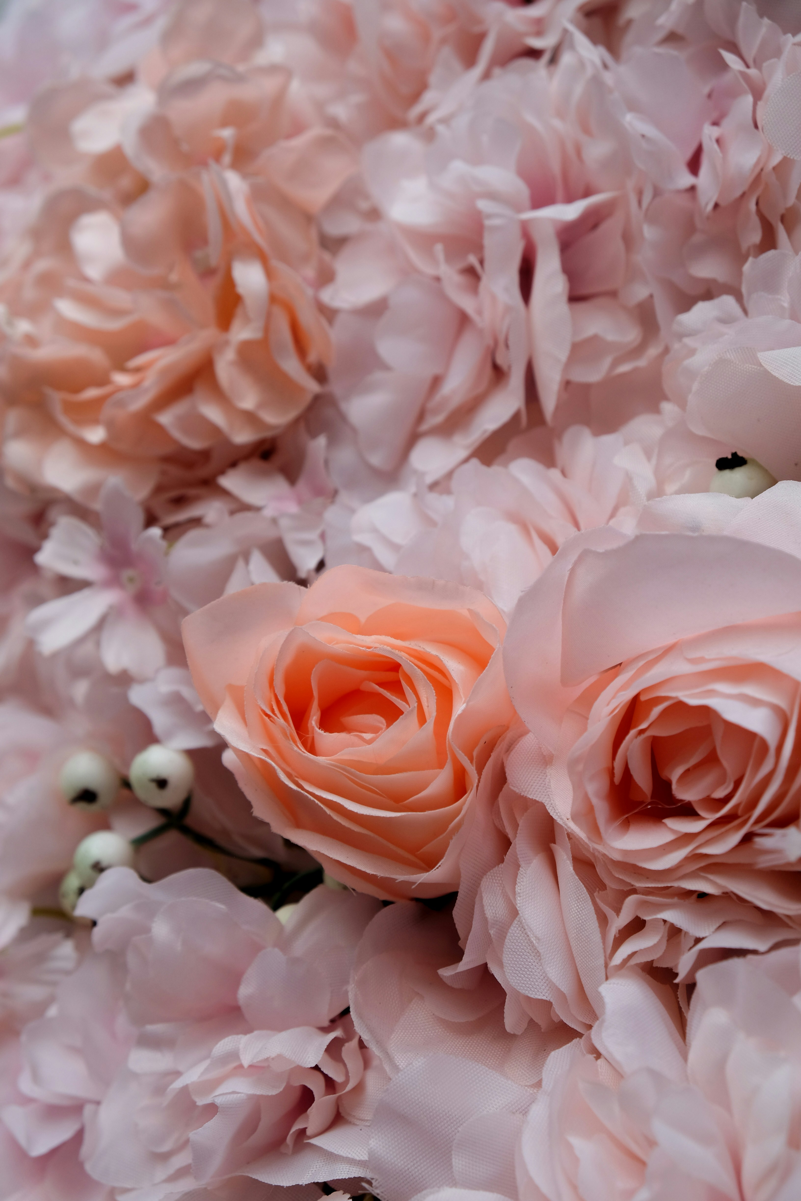 Photo by alinaparache