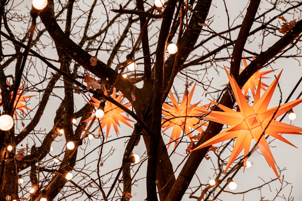 a large orange star hanging from a tree