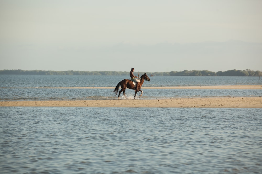 a person riding a horse on the beach