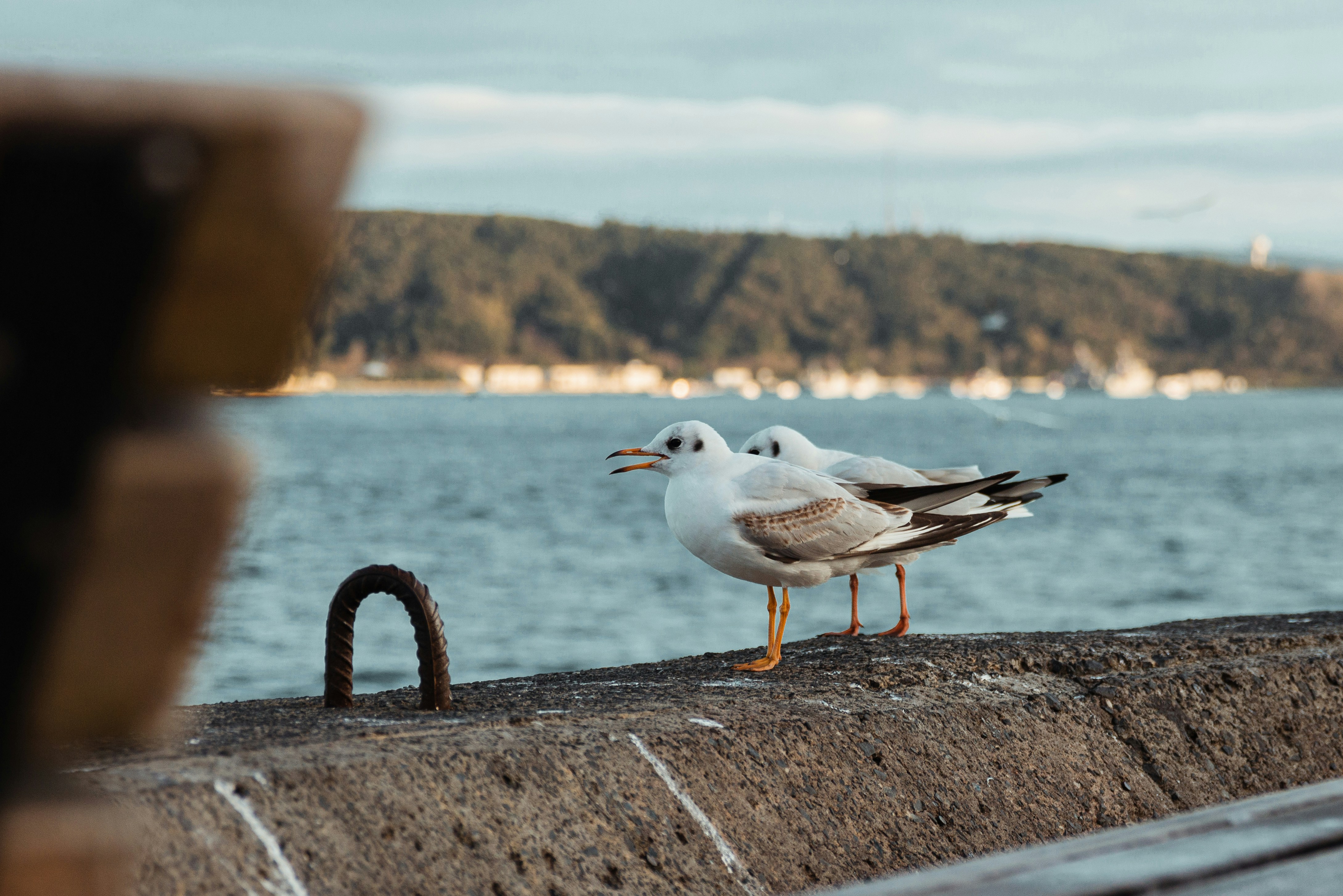 Photo by imadalassiry