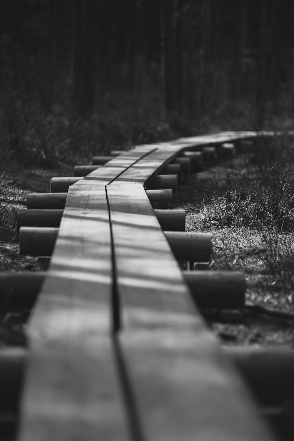 a black and white photo of a wooden walkway