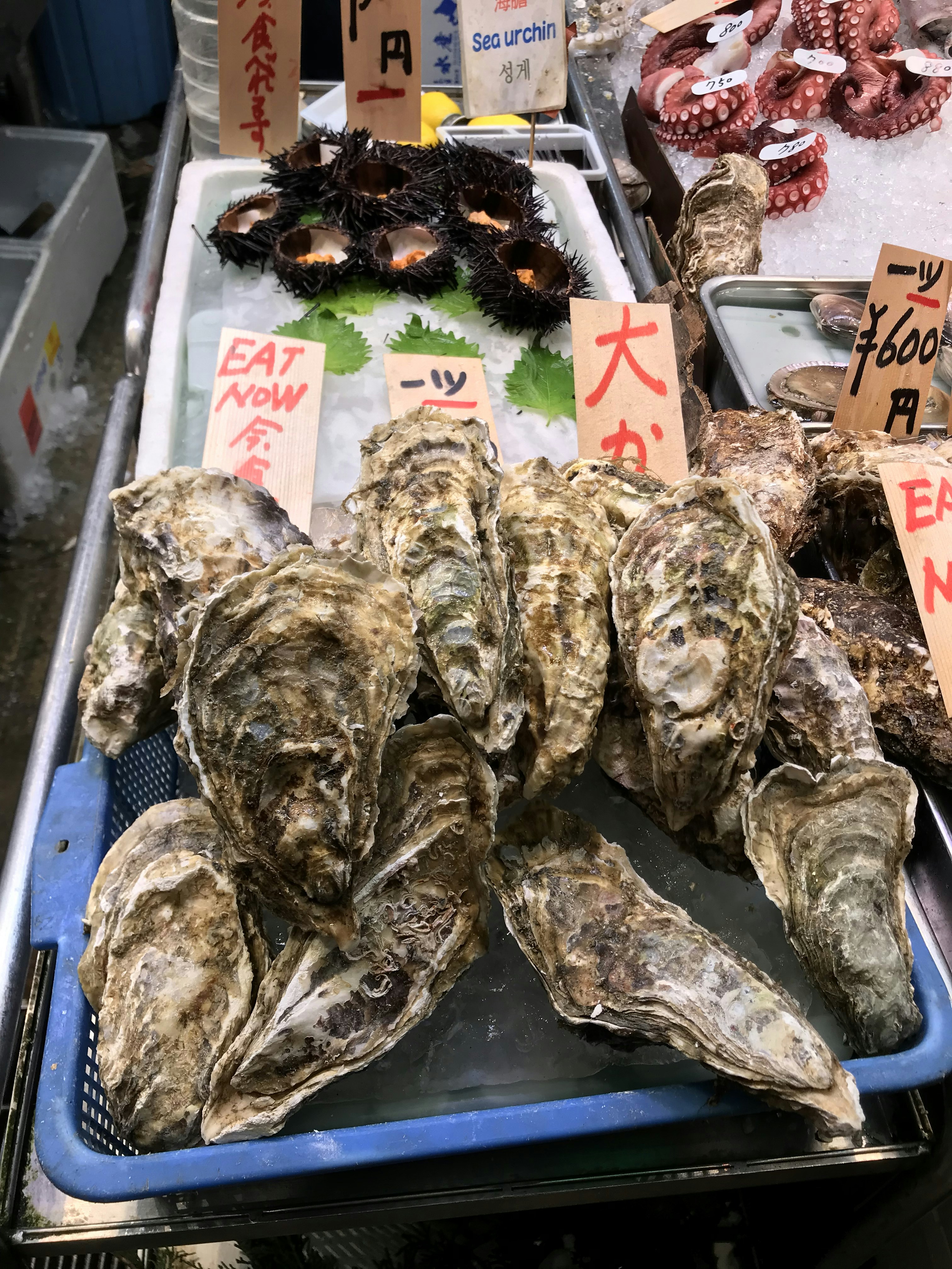Pescados y Mariscos Frescos