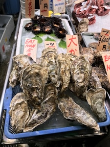 A variety of seafood is displayed on ice at a market stall. Fresh oysters are prominently laid out on a tray with price tags. Sea urchins and octopus portions are also visible. Green leaves are placed alongside for decoration. The setting appears to be a seafood market with handwritten signs in multiple languages.