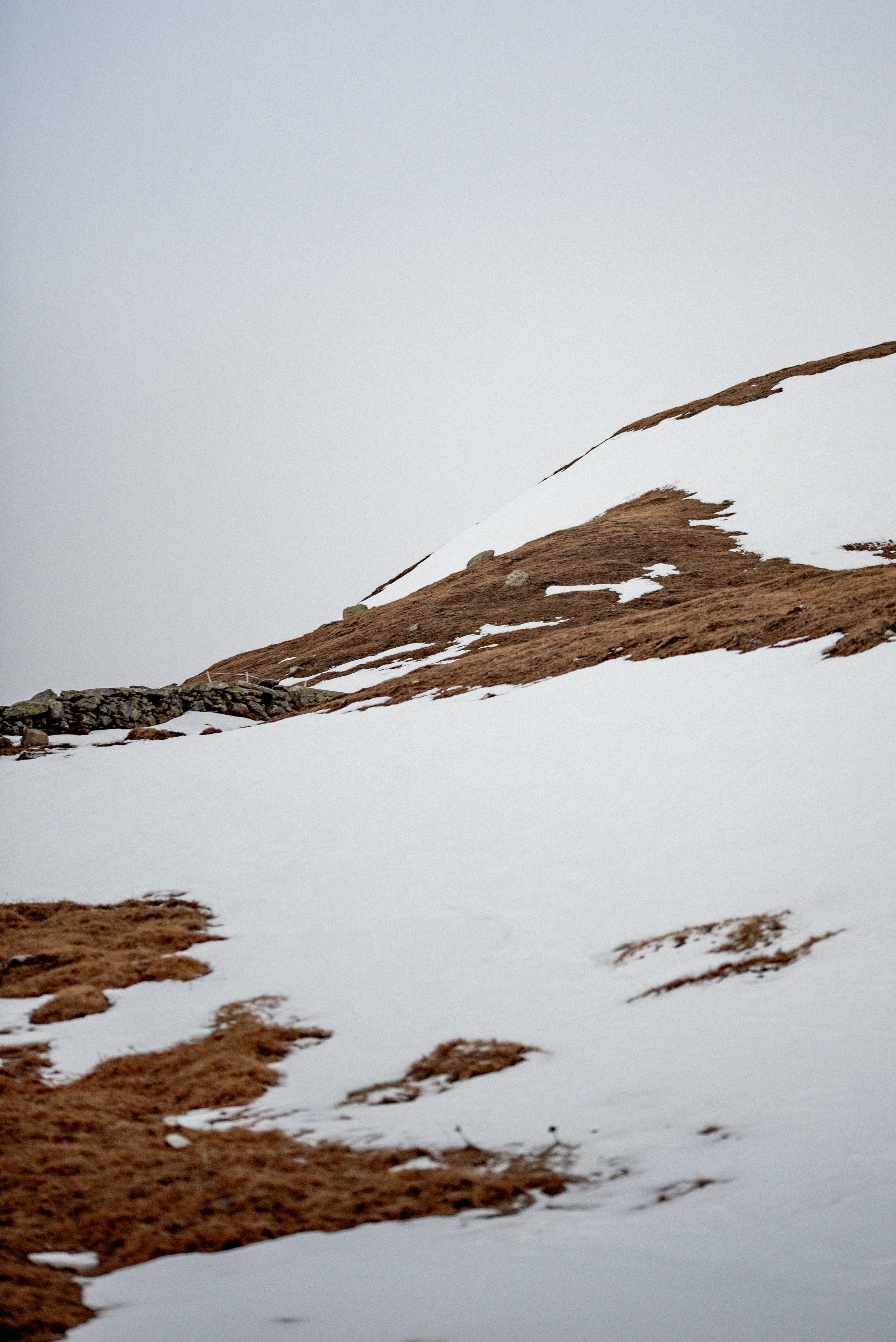 Photo by lauraadaiphoto