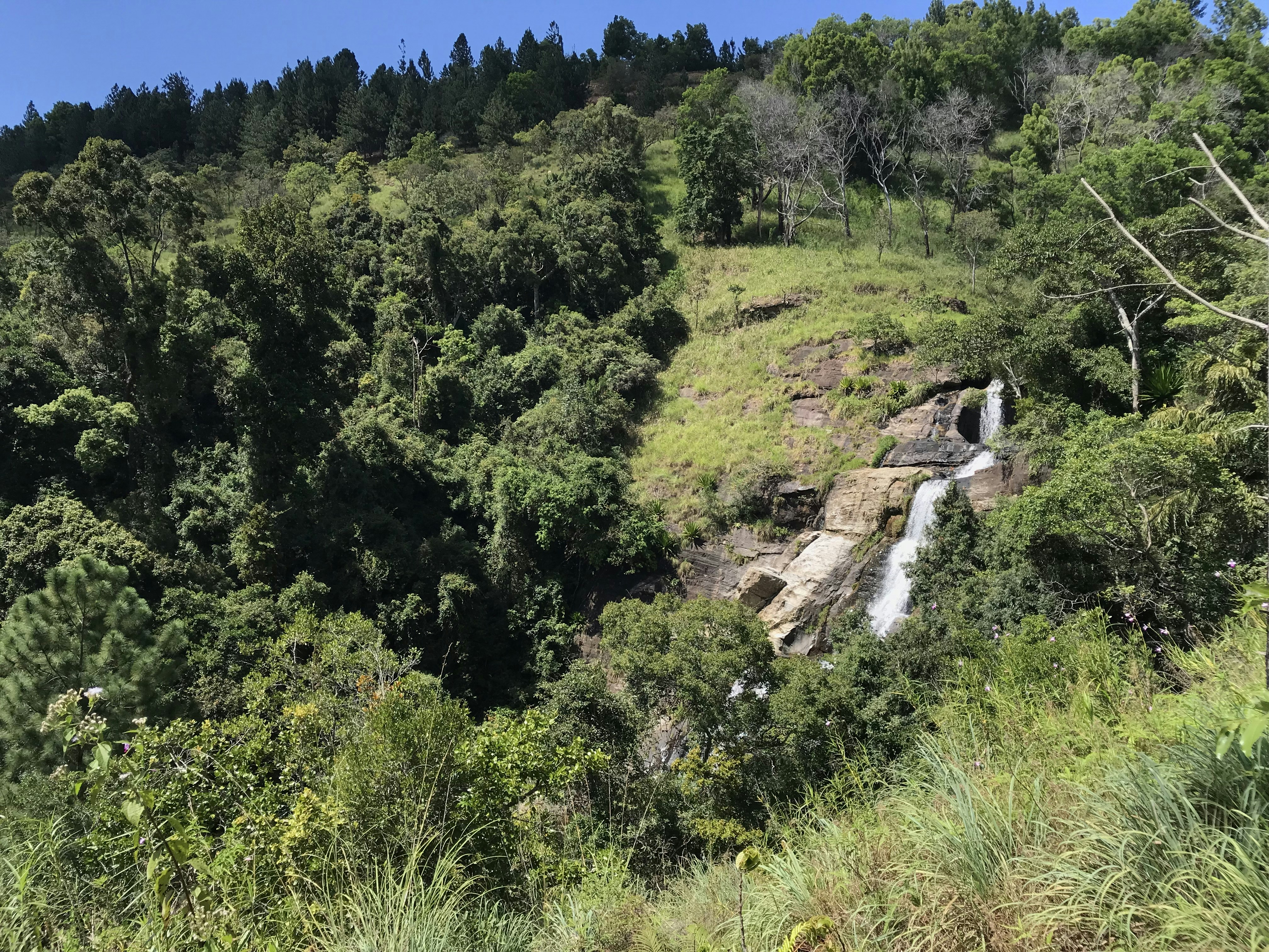 a waterfall in the middle of a lush green forest