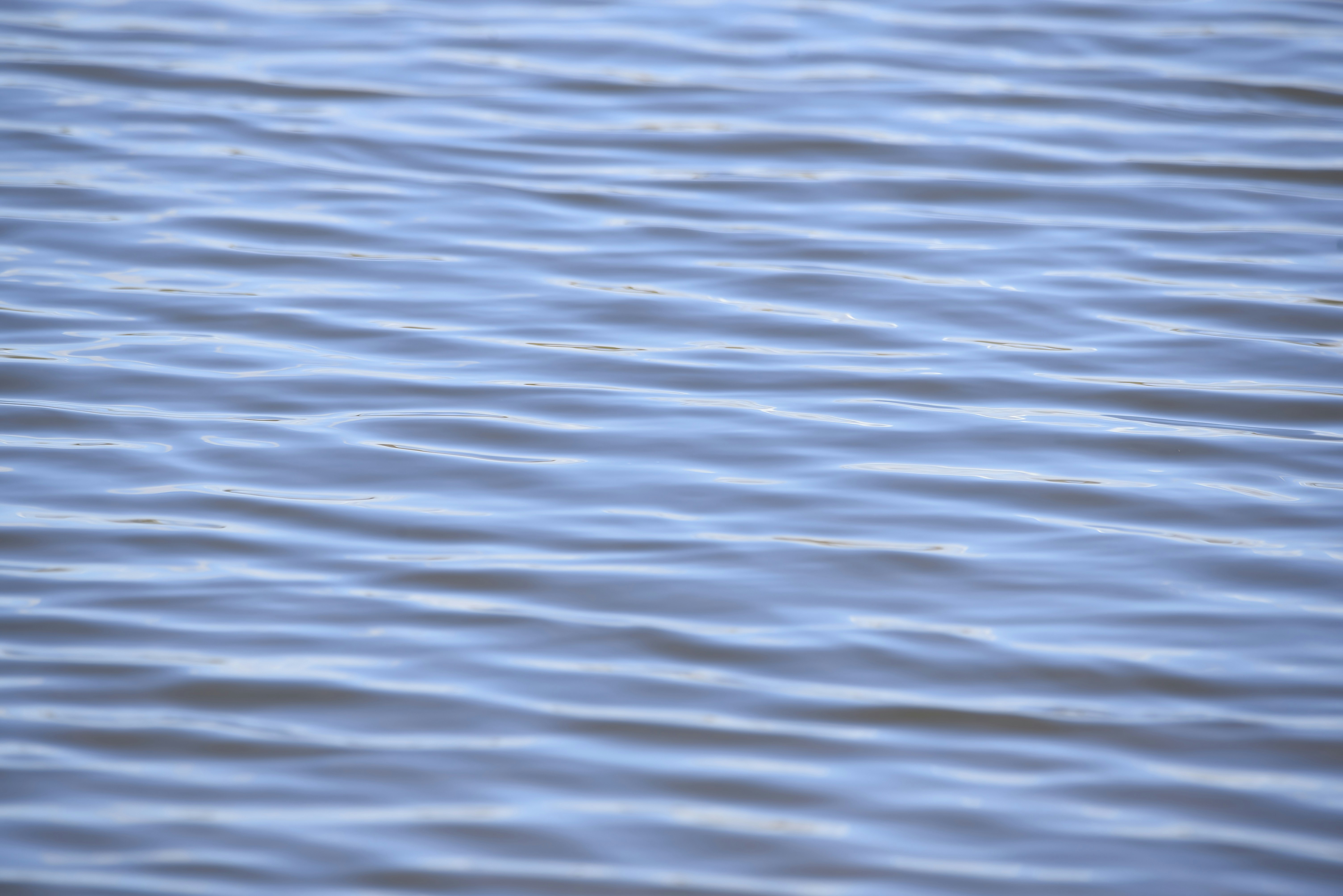 blue water wallpaper, wallpaper, Sejarah Renang di Indonesia: Perkembangan dan Pencapaian 2