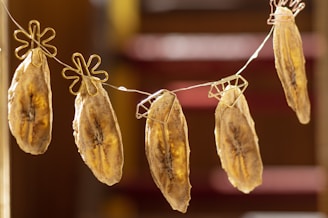 Several banana slices are hanging on a line using unique flower-shaped clips. The bananas appear to be dried, with a golden-brown color and visible dark spots along the length. The background is softly blurred, adding focus to the hanging bananas.