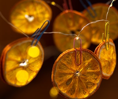 a group of orange slices hanging from a string