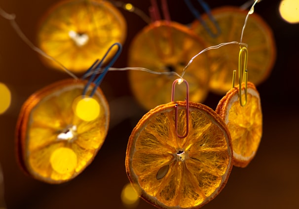 a group of orange slices hanging from a string