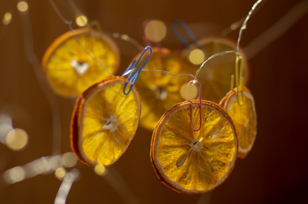 a group of orange slices hanging from a string
