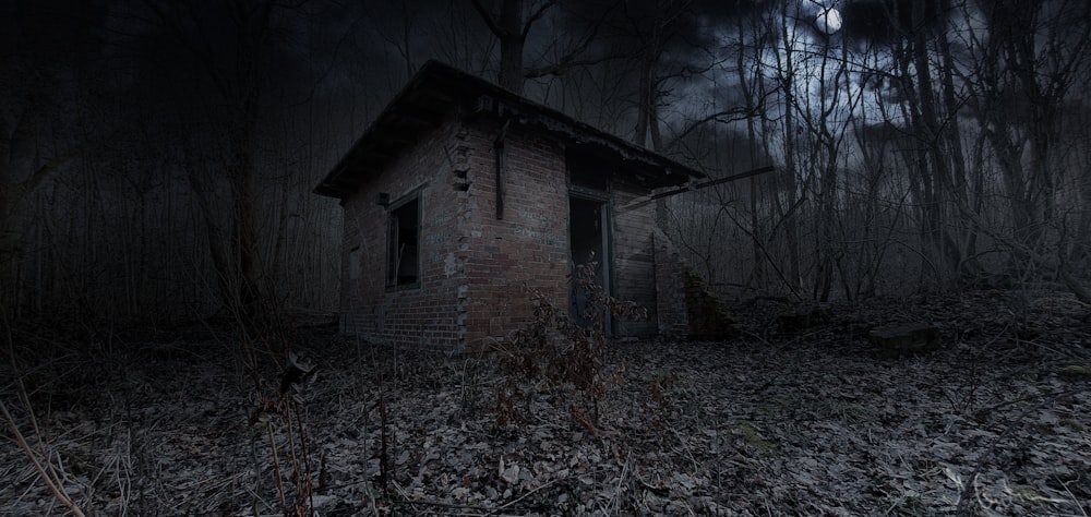an old abandoned building in the woods at night