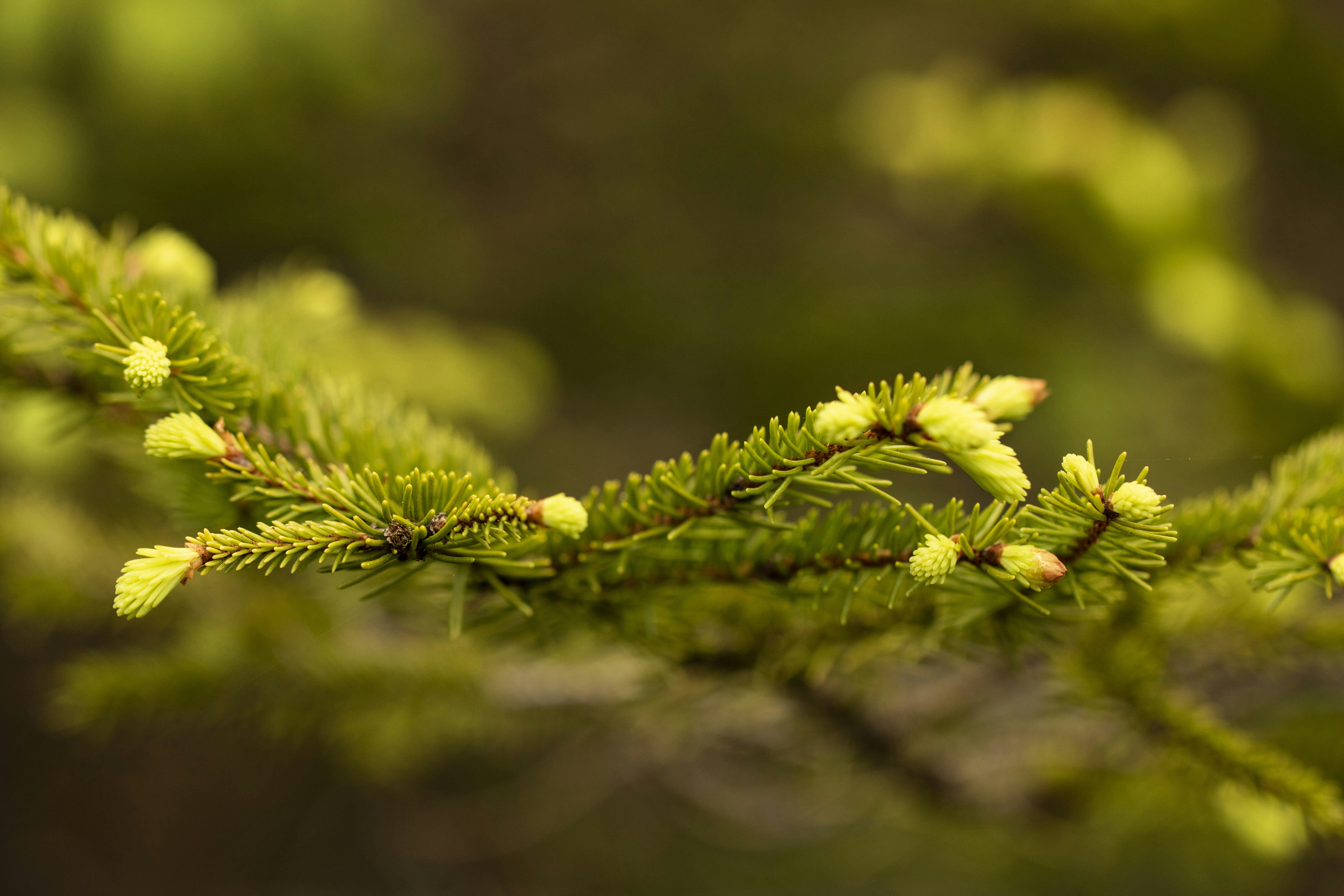 Photo by angela_on_unsplash