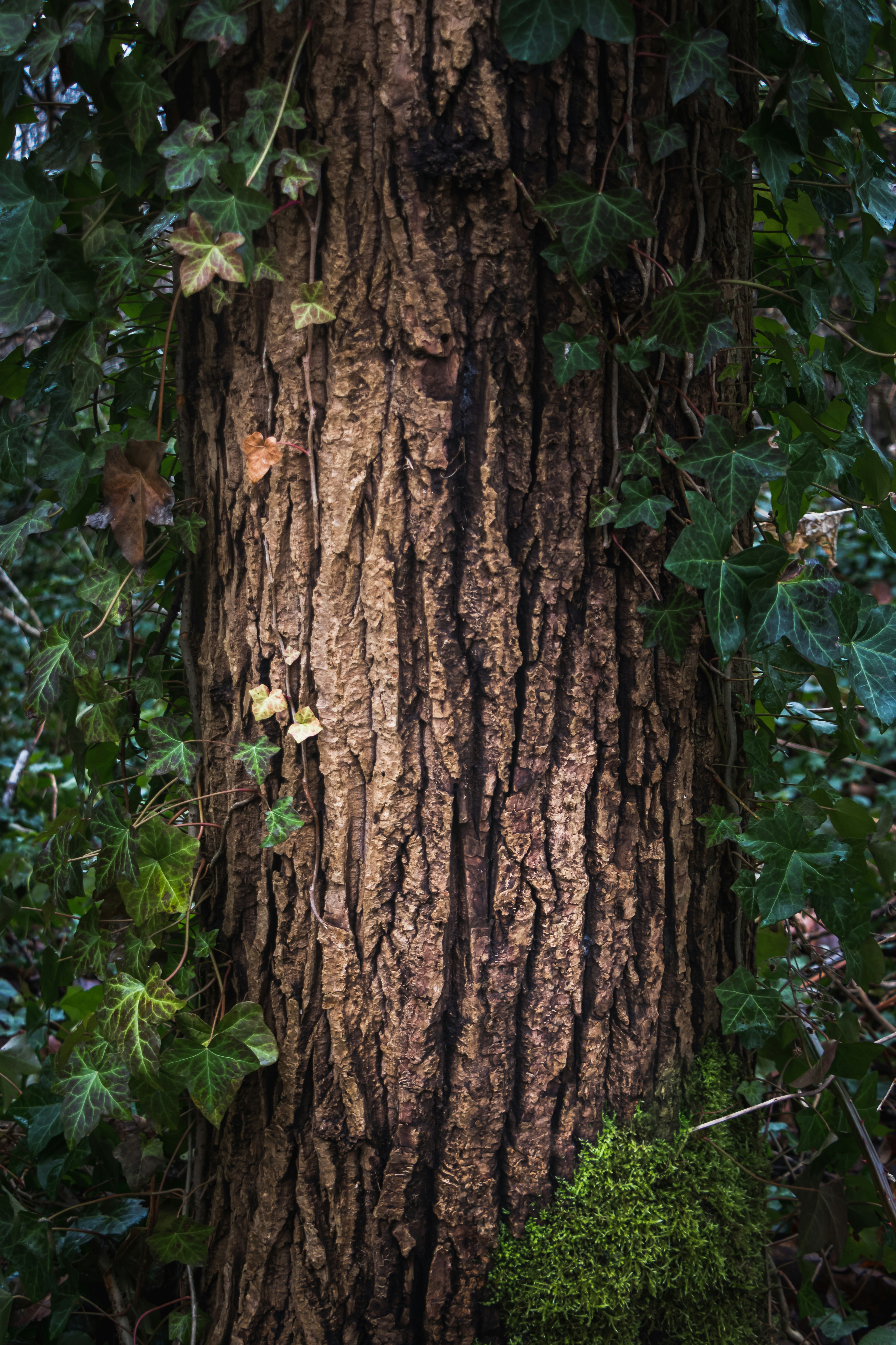 Photo by greg_rosenke