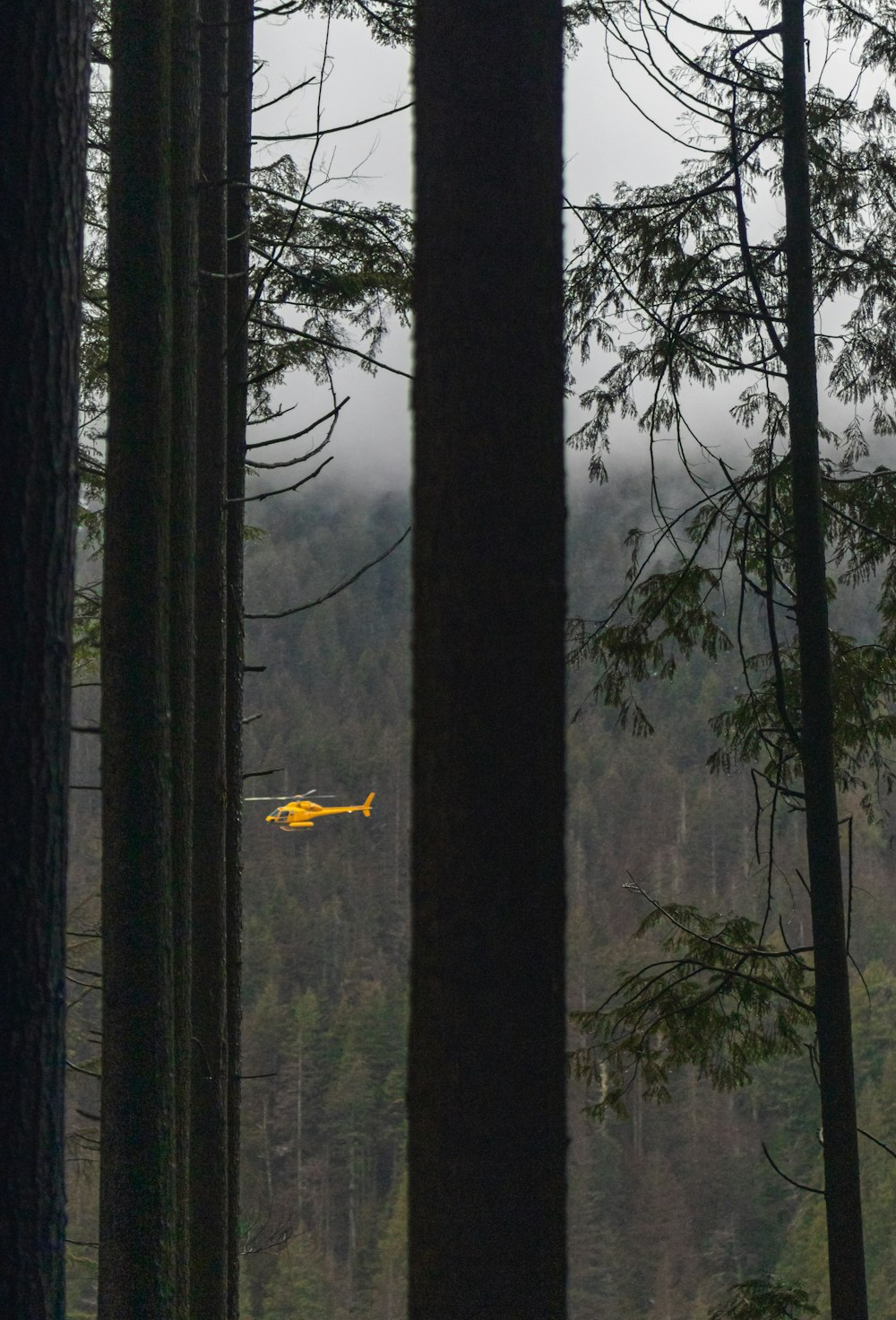 a yellow helicopter flying through a forest filled with trees