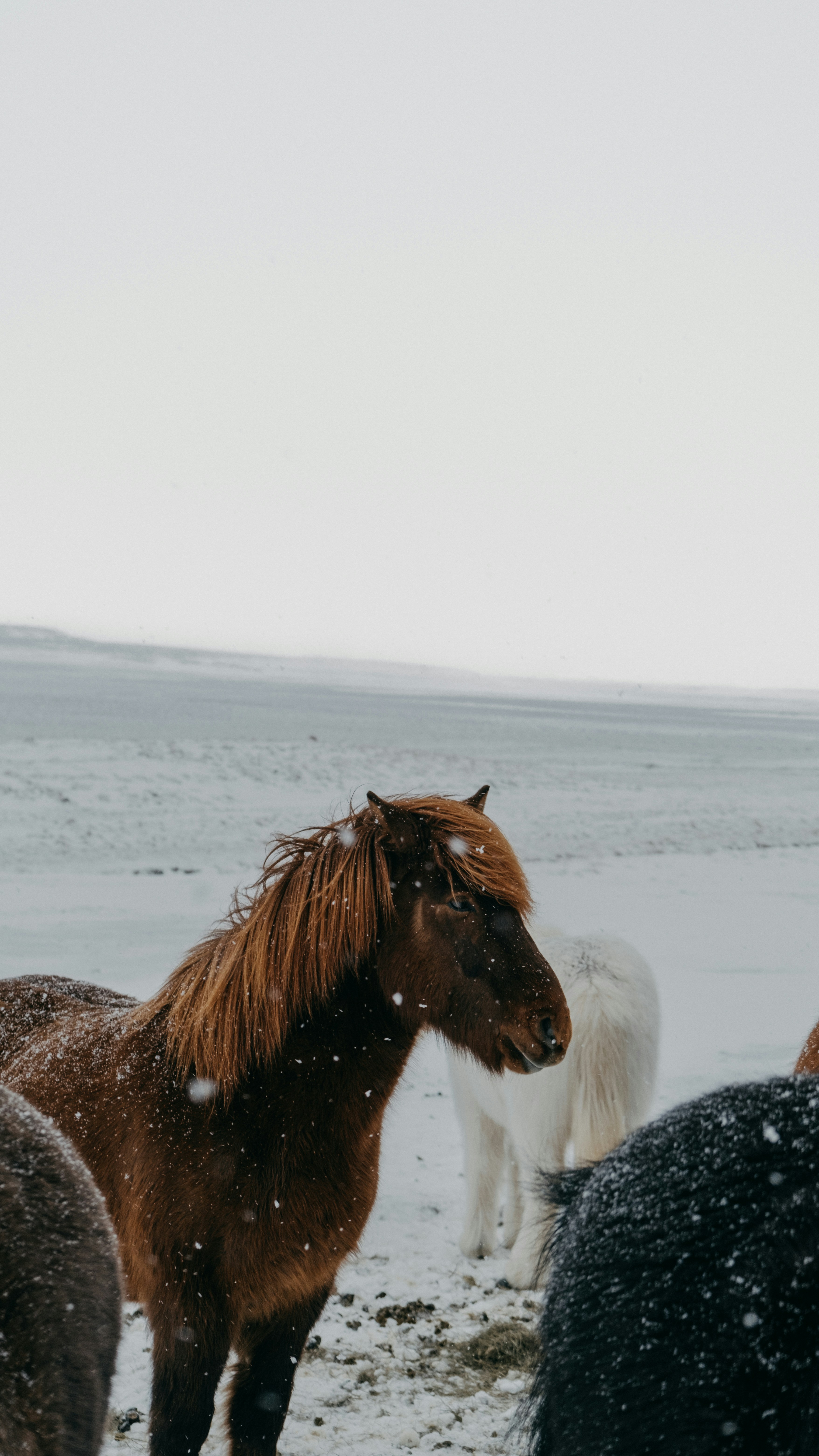 Photo by andrvv21
