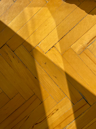 Freshly sanded and sealed parquet floor reflecting warm light.