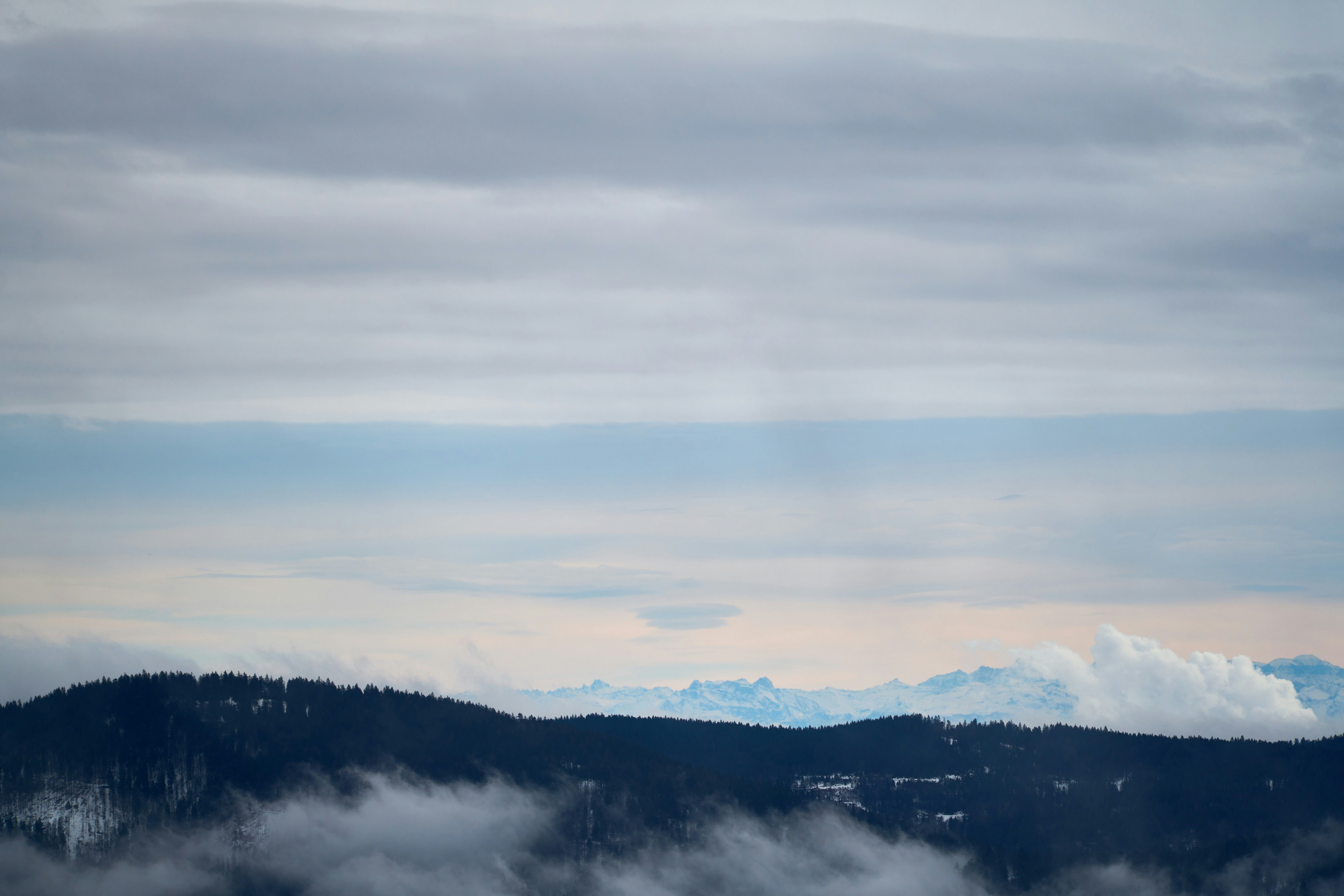 Photo by wolfgang_hasselmann