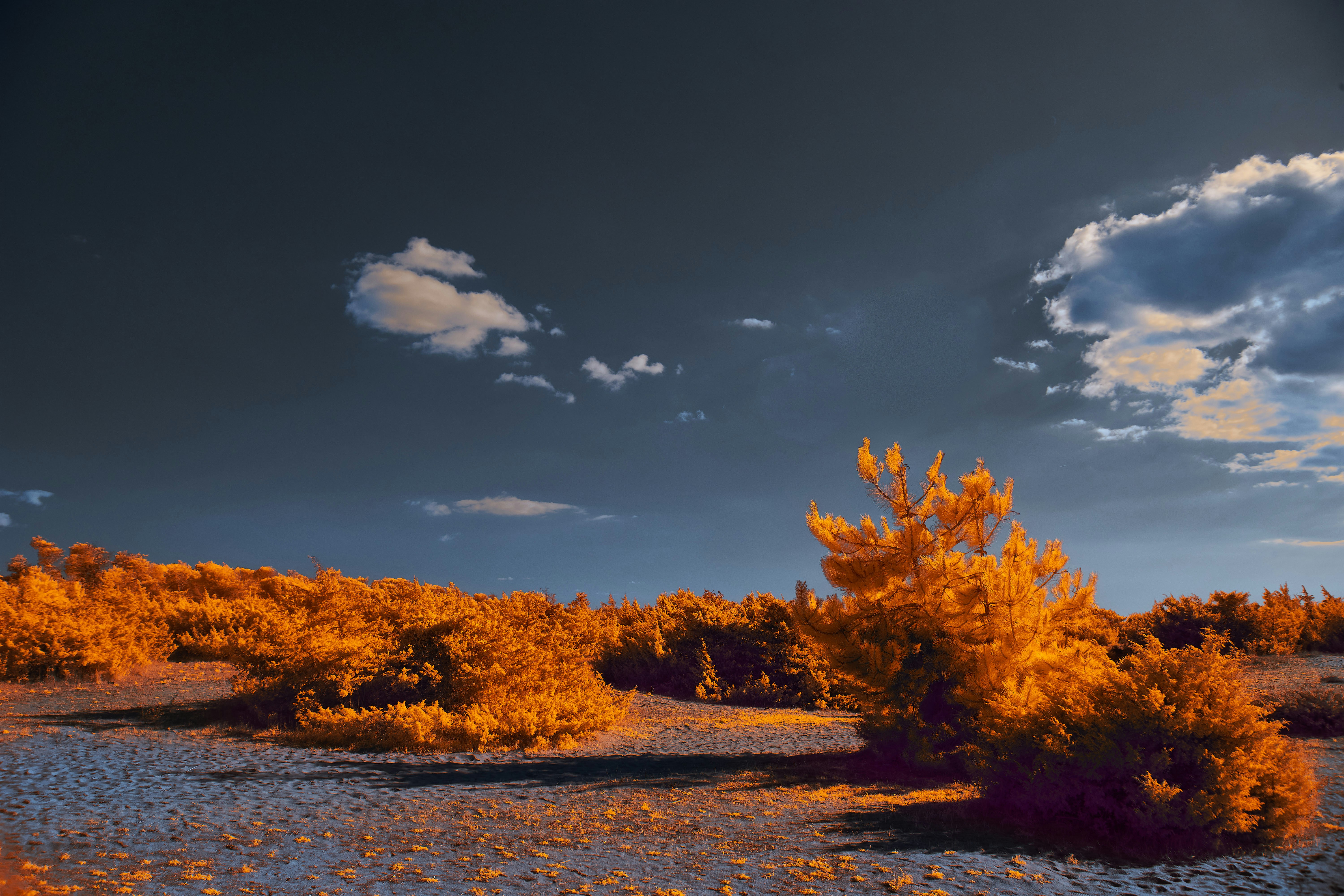 Photo by wolfgang_hasselmann