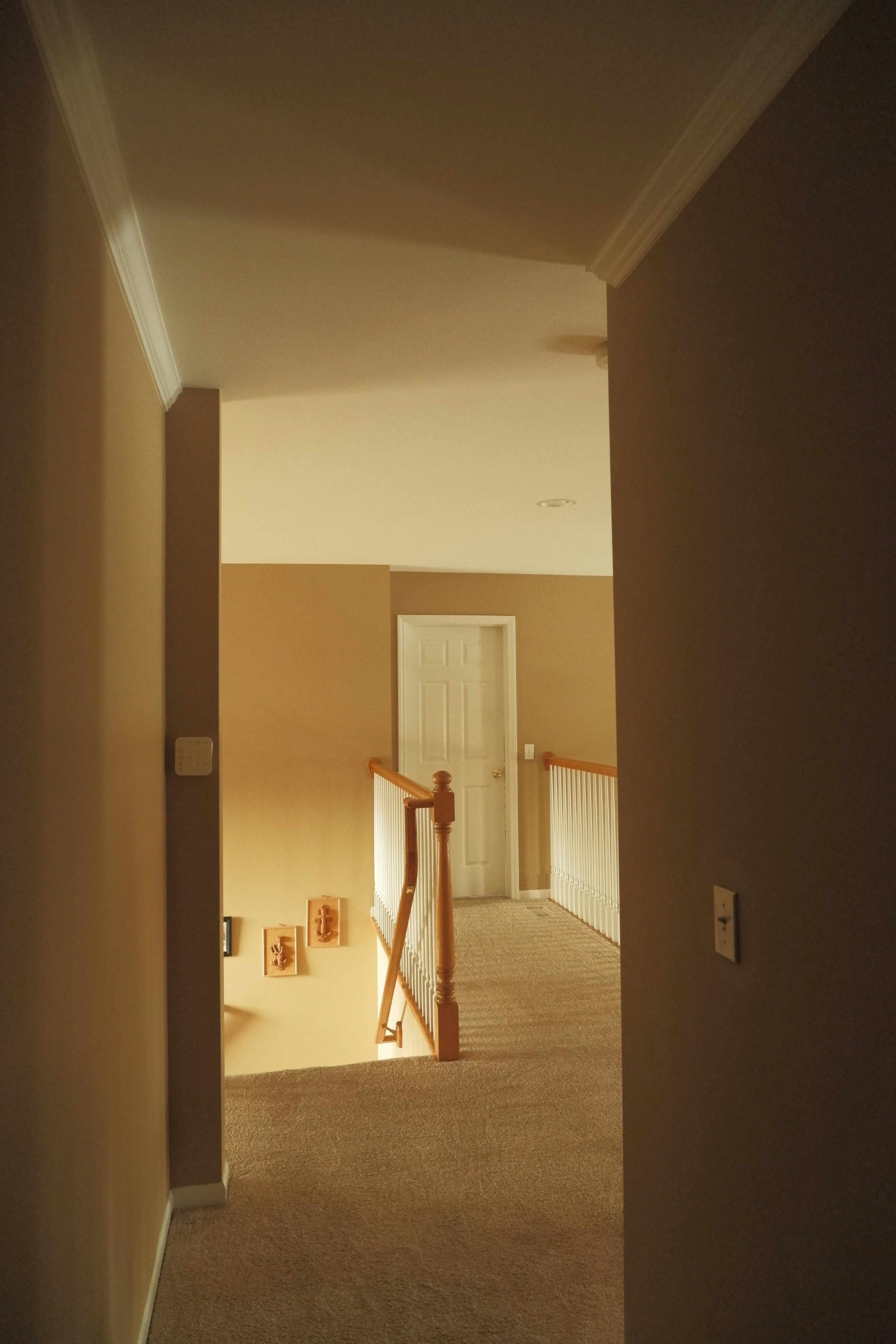 Photo by rohan_gangopadhyay