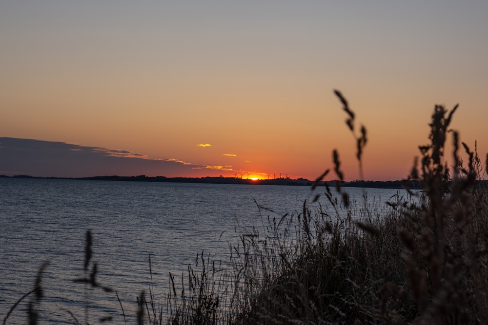 Il sole sta tramontando su uno specchio d'acqua