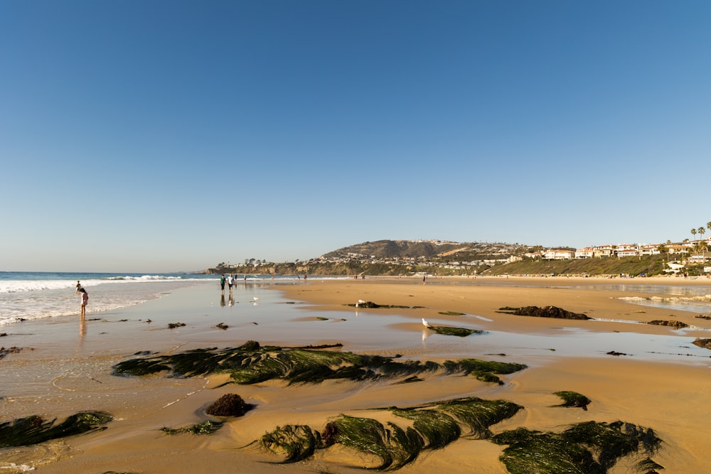 two people walking on a beach near the ocean