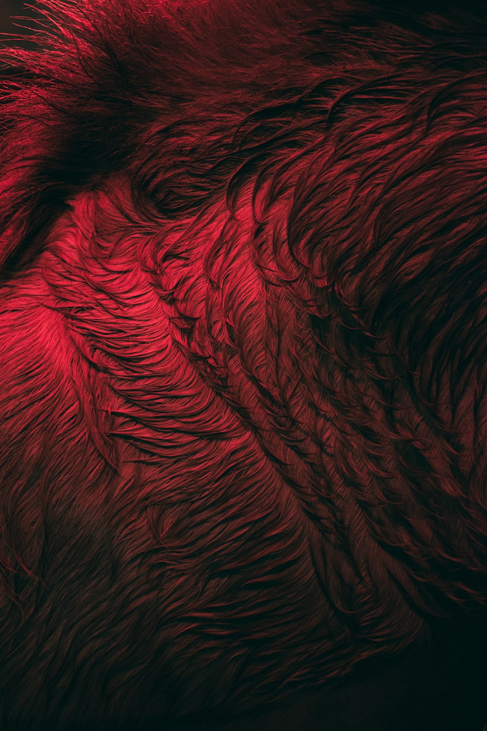 a close up of a red animal's fur