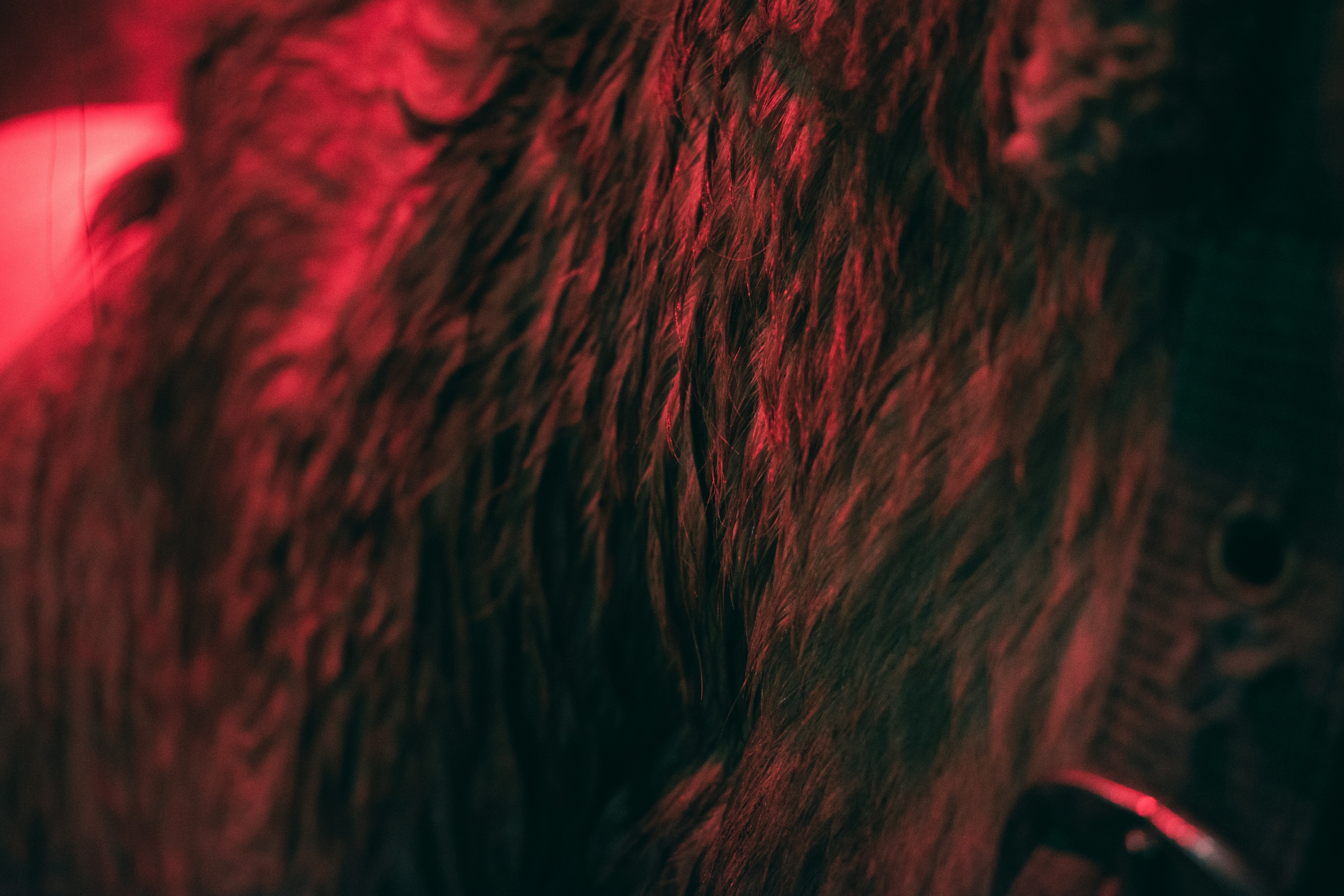 Photo by ricovandevoorde