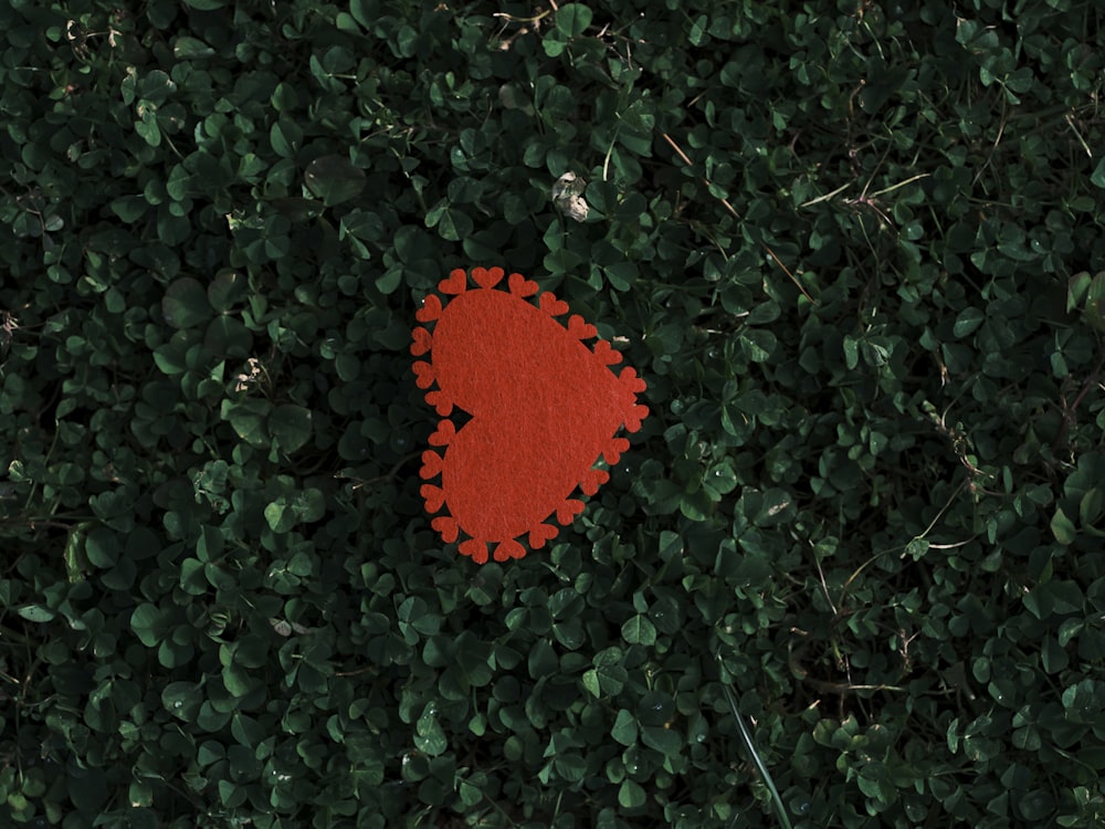 a red piece of cloth sitting on top of a lush green field