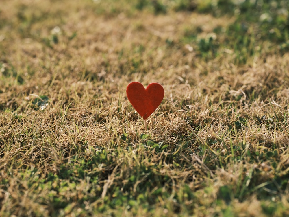 a red heart sitting in the middle of a field