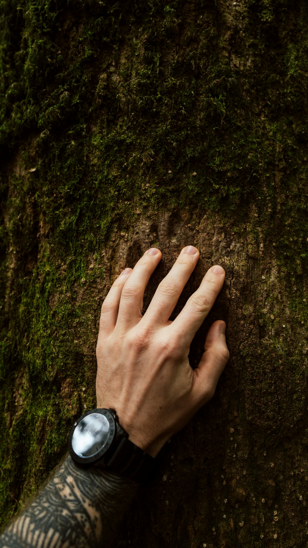 a person's hand resting on a moss covered tree