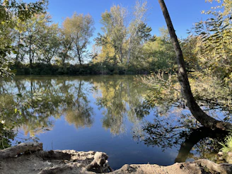 A peaceful nature scene with trees and a calm river, representing tranquility.