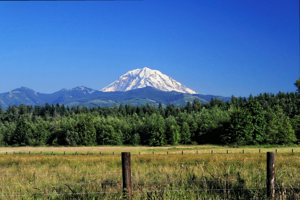 a field with a fence and a mountain in the background