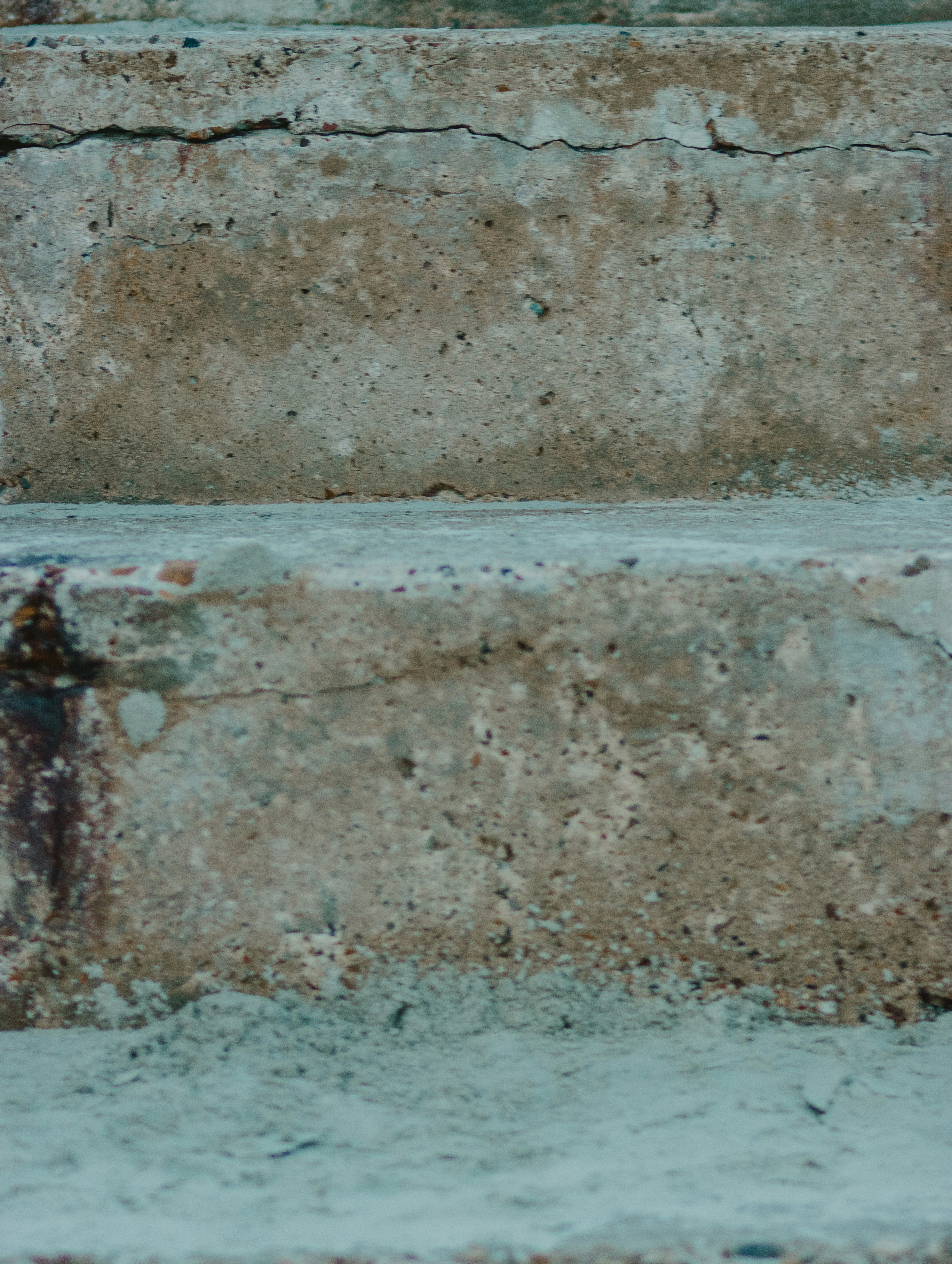a bird sitting on the steps of a building