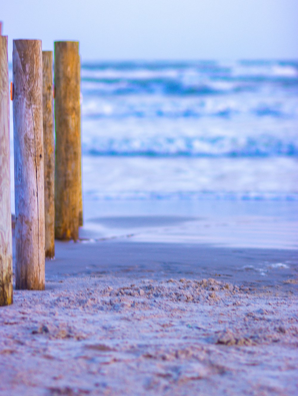 a row of wooden posts sitting on top of a sandy beach