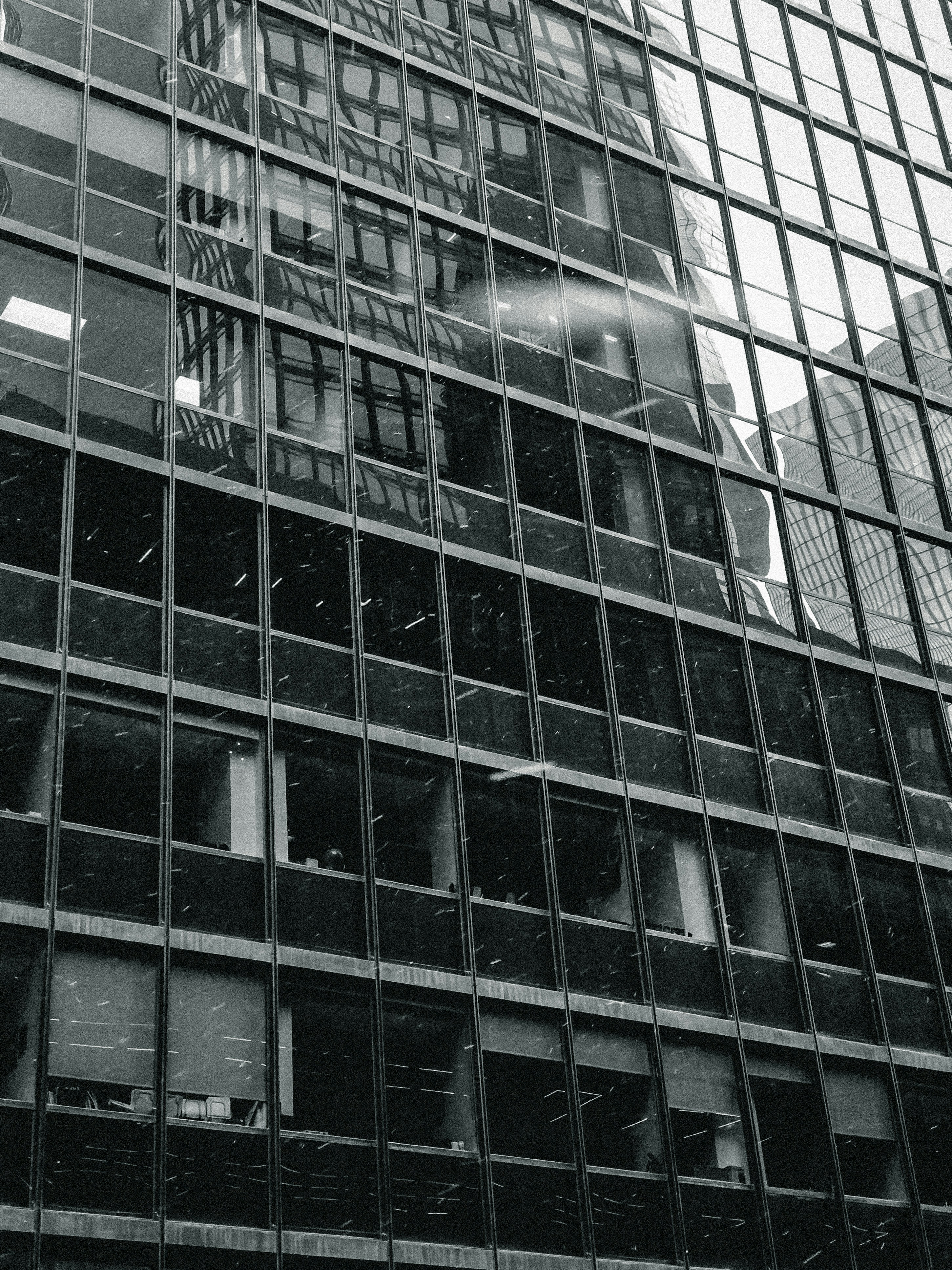 Photo by janarosmonaliev