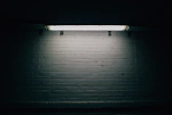 A cracked concrete wall stained with dark streaks, illuminated by a single, buzzing fluorescent light.