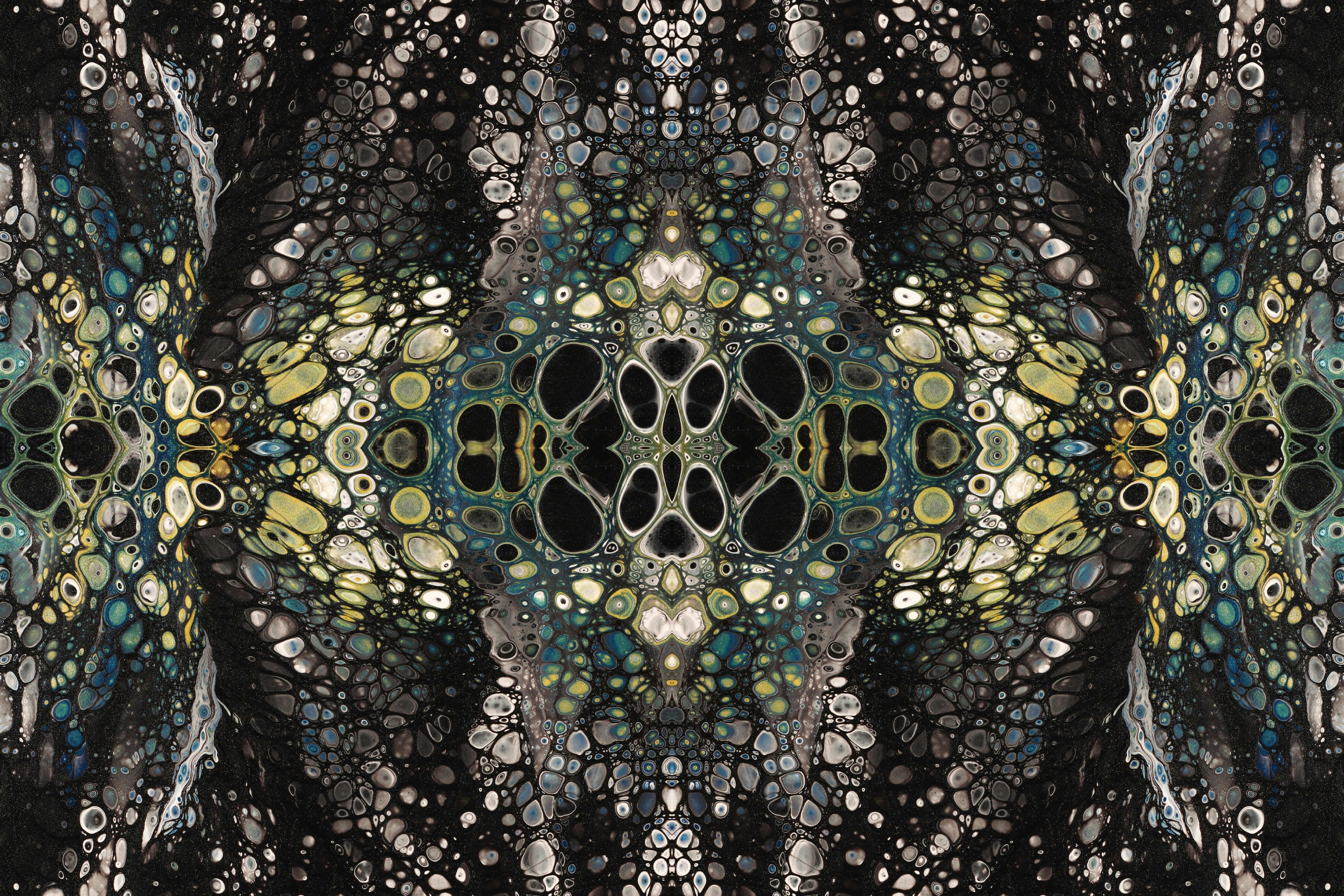 Photo by susan_wilkinson