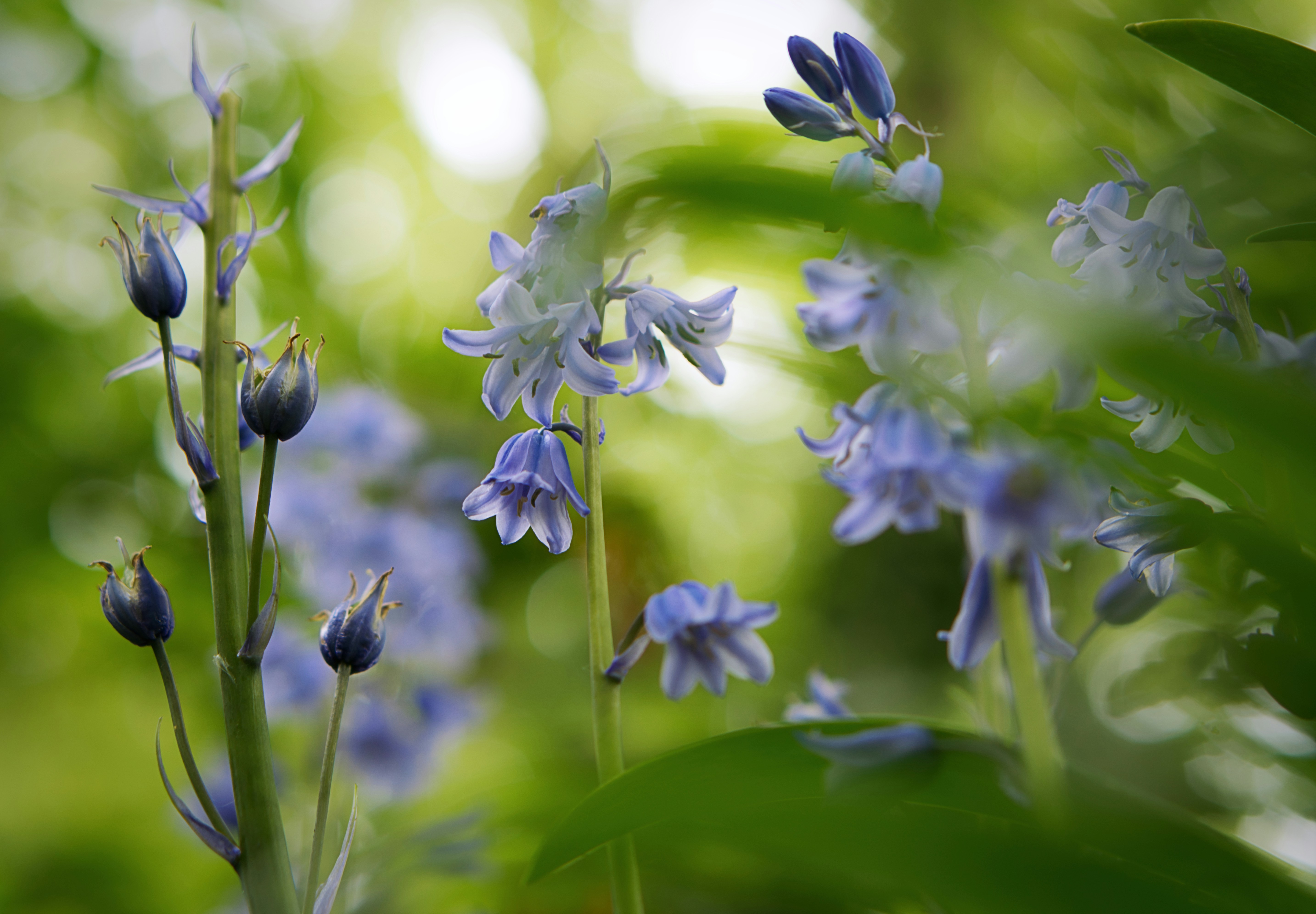 Photo by whatsheseeks