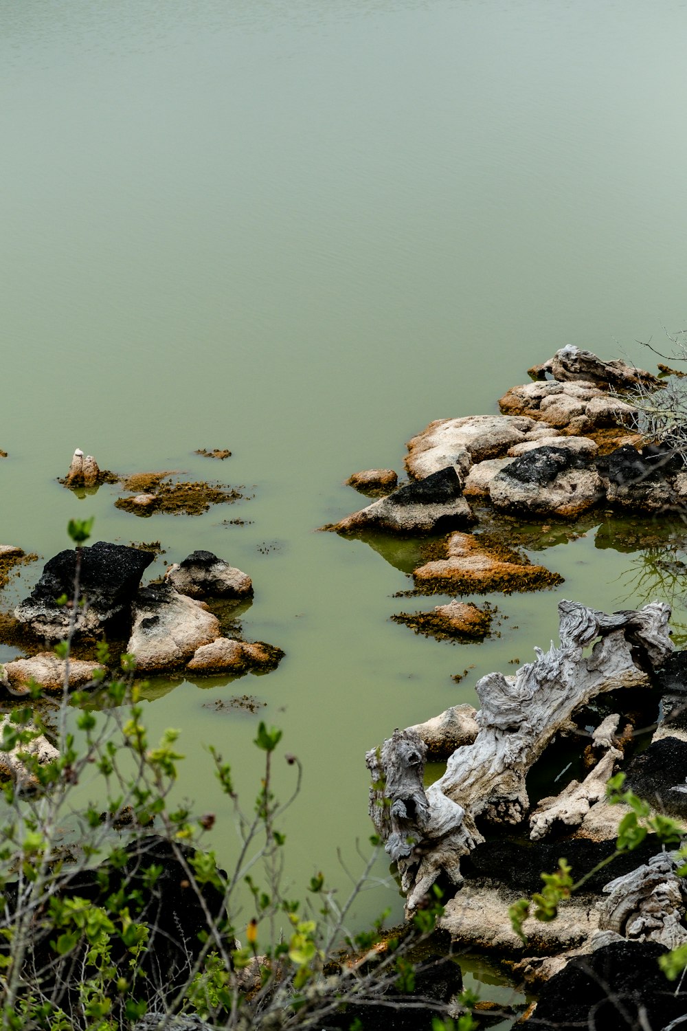 a large body of water surrounded by rocks