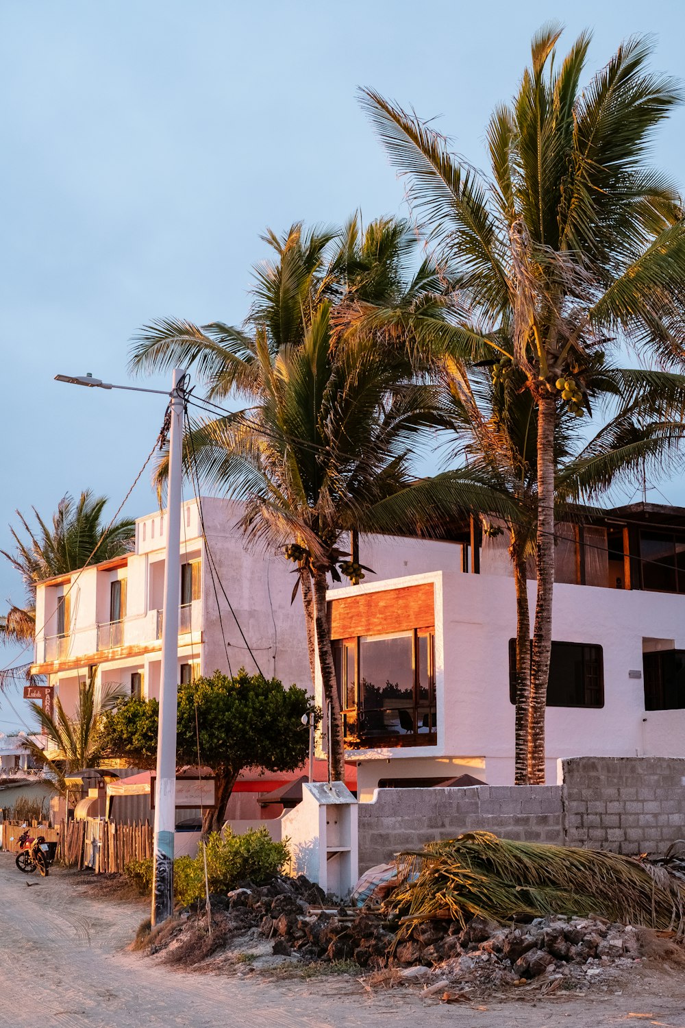 a white house with palm trees in front of it