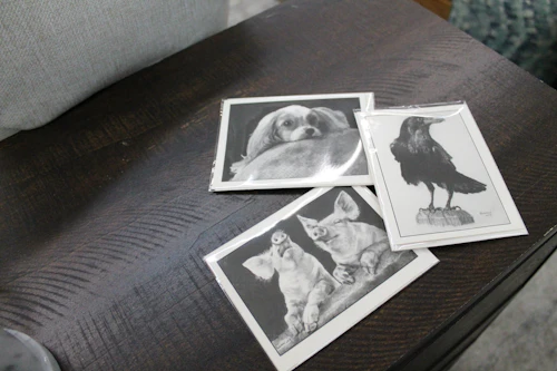 Kids Alaska animal flash cards