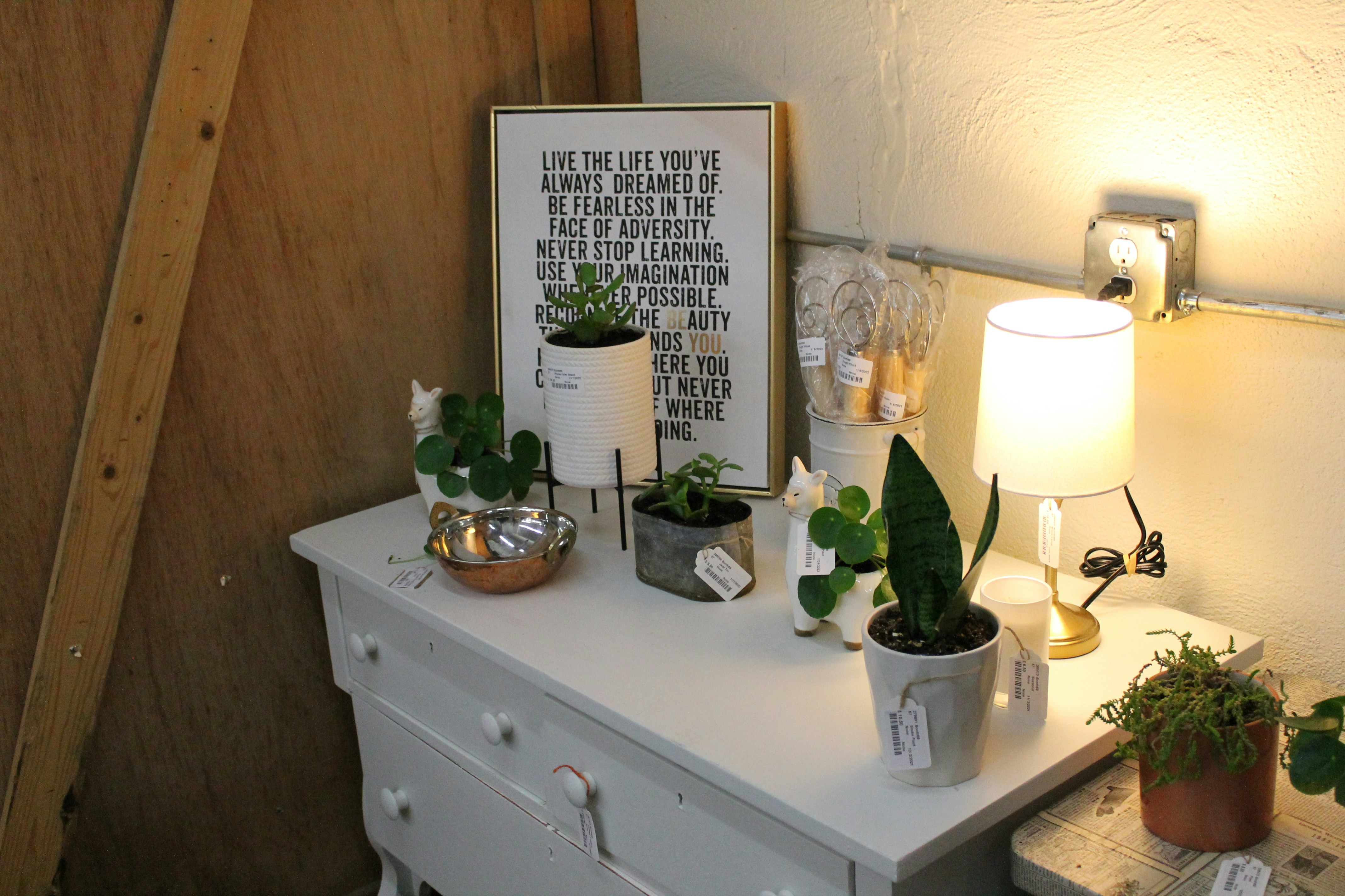 a white dresser topped with potted plants next to a lamp; Photo by Karina / Unsplash